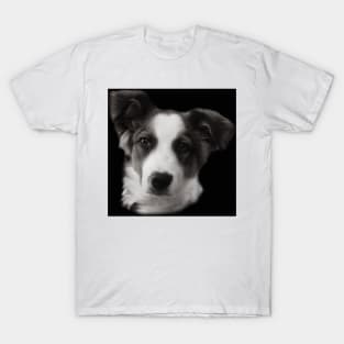 Charly Australian Shepherd Mix T-Shirt